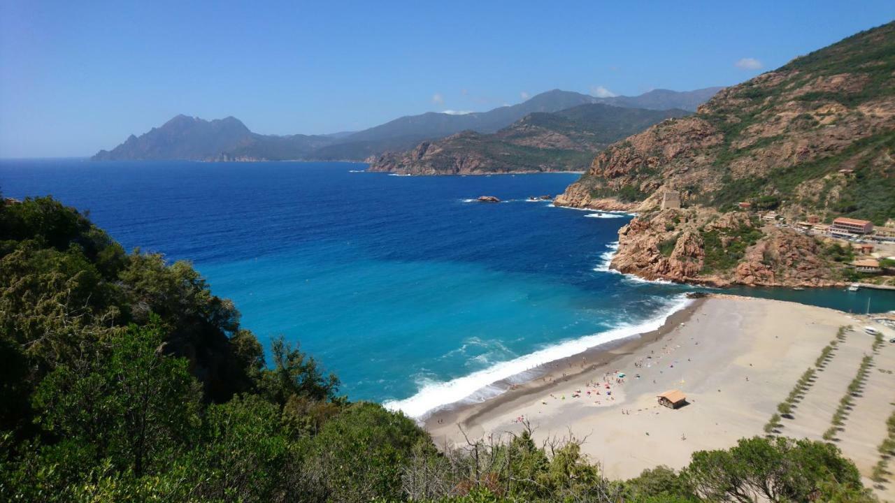Casa Del Torrente Chalet Porto (Corsica)