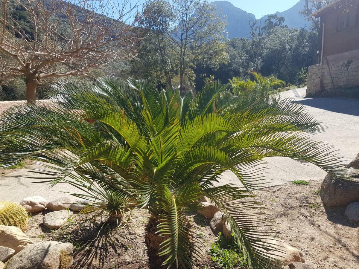 Chalet Casa Del Torrente Porto (Corsica)