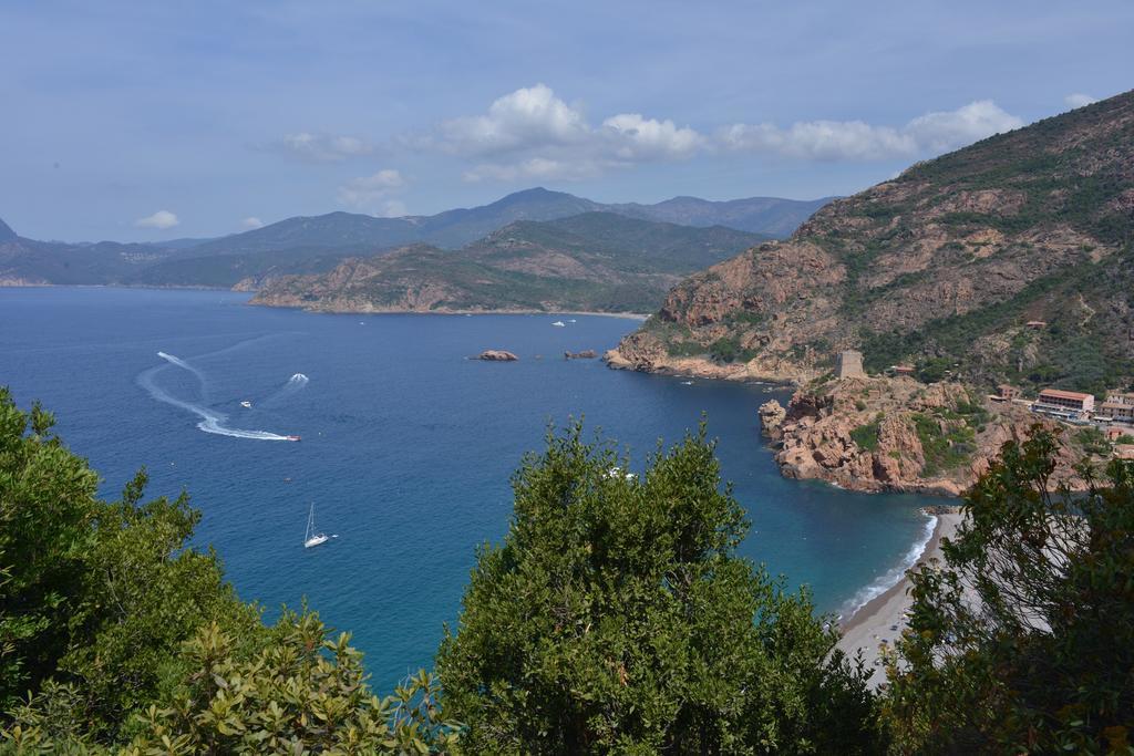 Casa Del Torrente * Porto (Corsica)